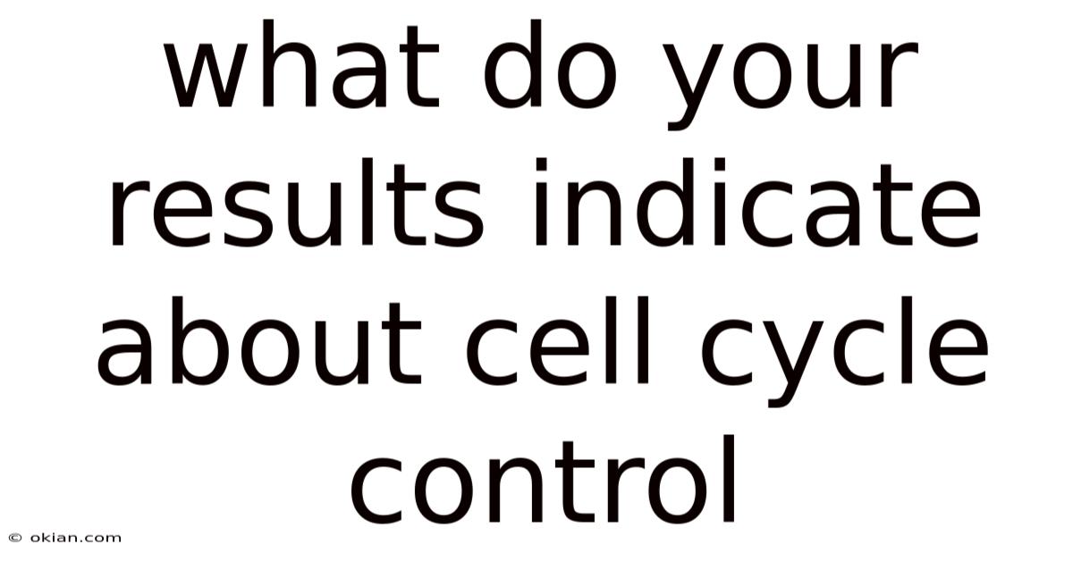 What Do Your Results Indicate About Cell Cycle Control