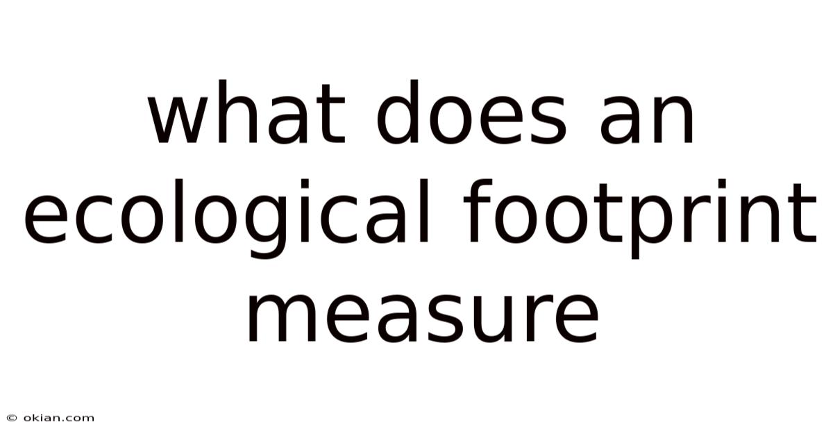 What Does An Ecological Footprint Measure