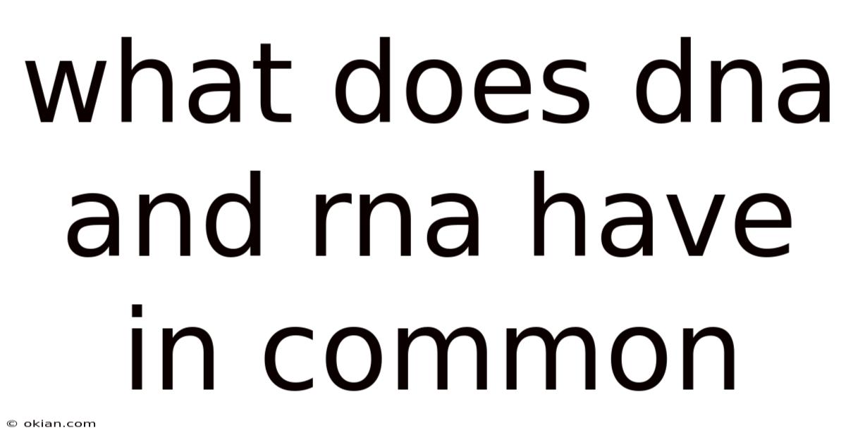 What Does Dna And Rna Have In Common