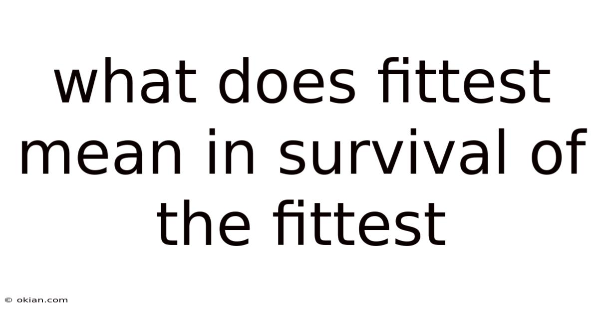What Does Fittest Mean In Survival Of The Fittest