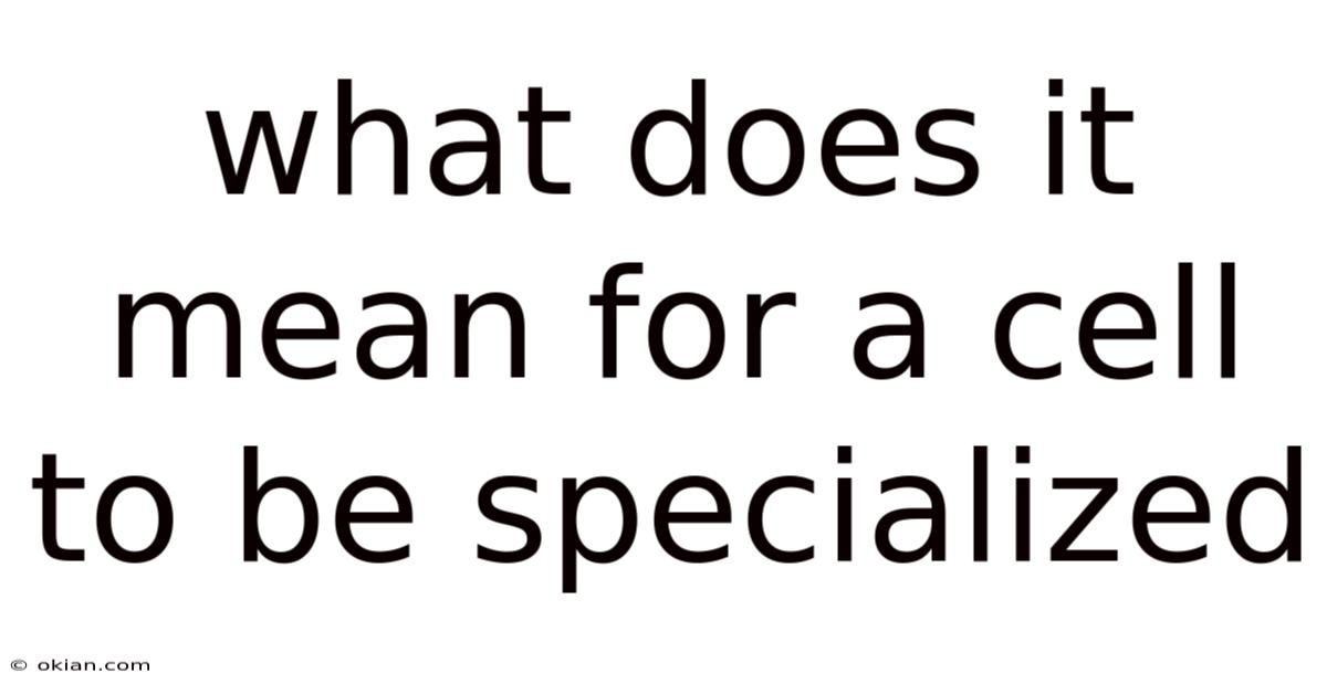 What Does It Mean For A Cell To Be Specialized