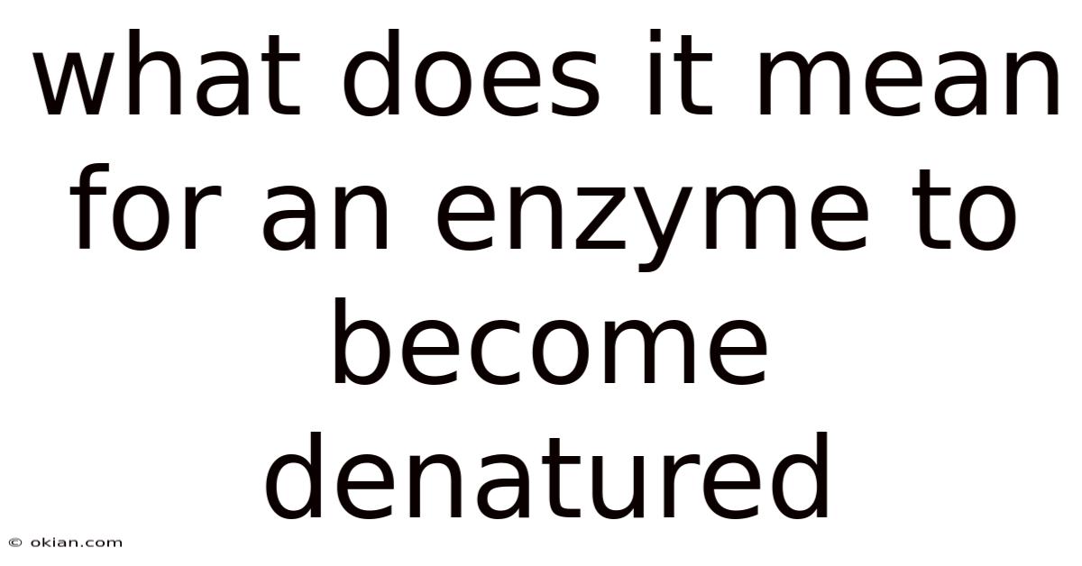 What Does It Mean For An Enzyme To Become Denatured