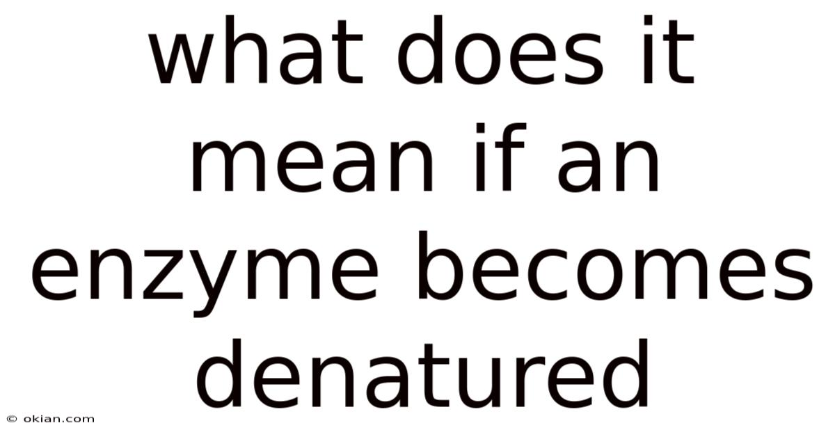What Does It Mean If An Enzyme Becomes Denatured