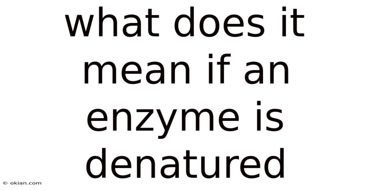 What Does It Mean If An Enzyme Is Denatured