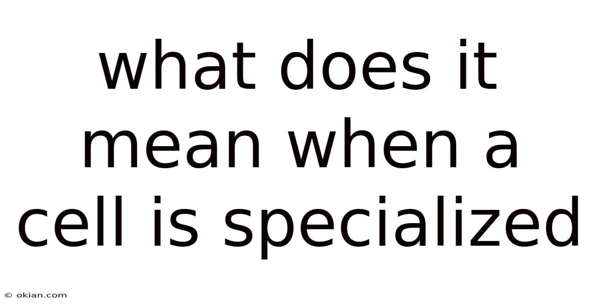 What Does It Mean When A Cell Is Specialized