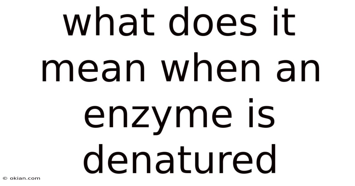 What Does It Mean When An Enzyme Is Denatured