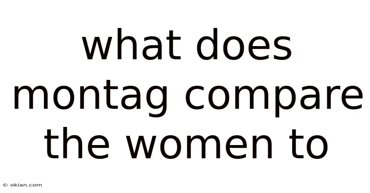 What Does Montag Compare The Women To