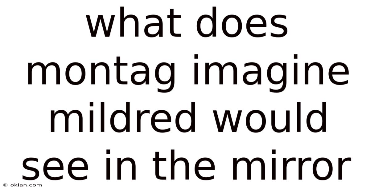 What Does Montag Imagine Mildred Would See In The Mirror