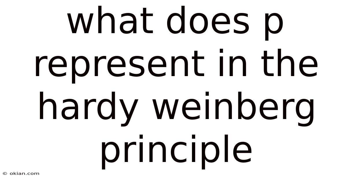 What Does P Represent In The Hardy Weinberg Principle
