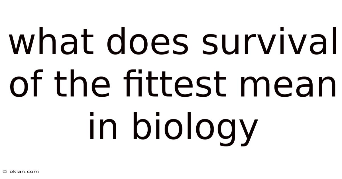 What Does Survival Of The Fittest Mean In Biology
