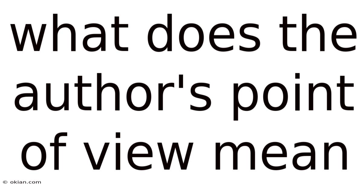 What Does The Author's Point Of View Mean