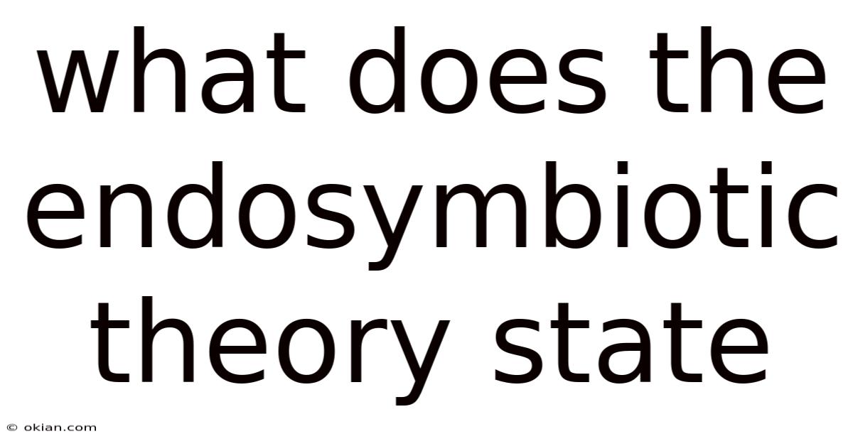 What Does The Endosymbiotic Theory State
