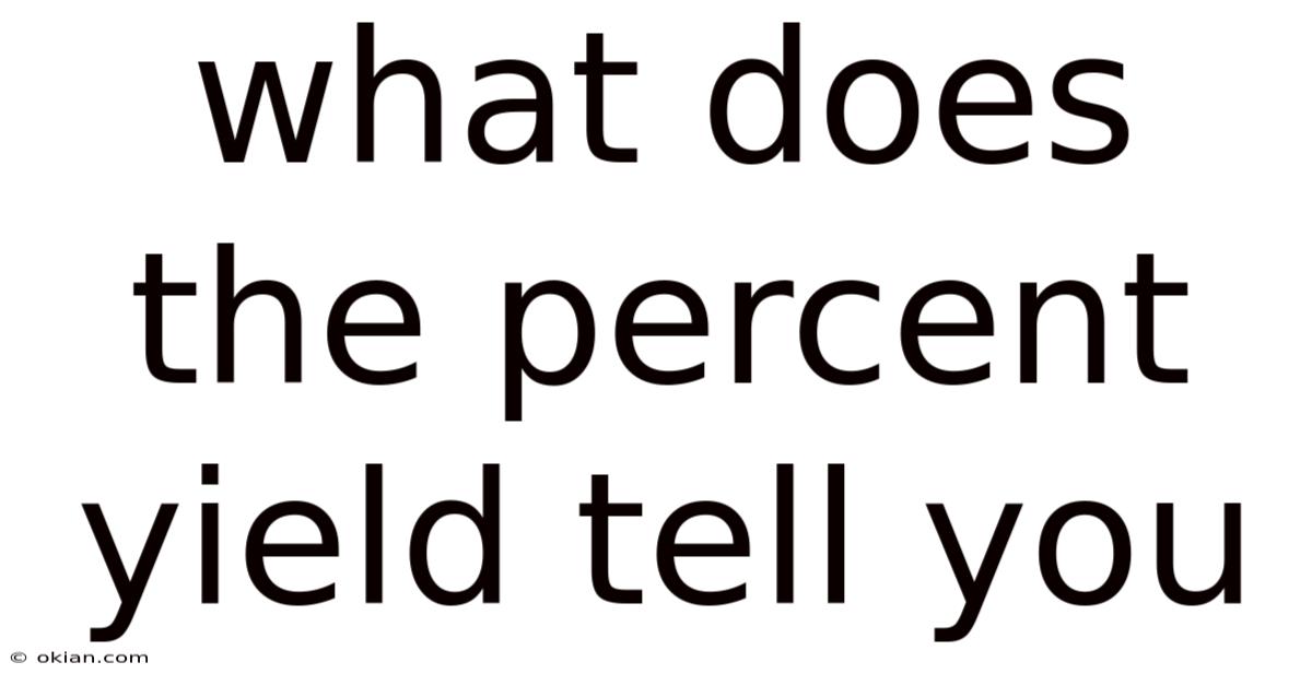 What Does The Percent Yield Tell You