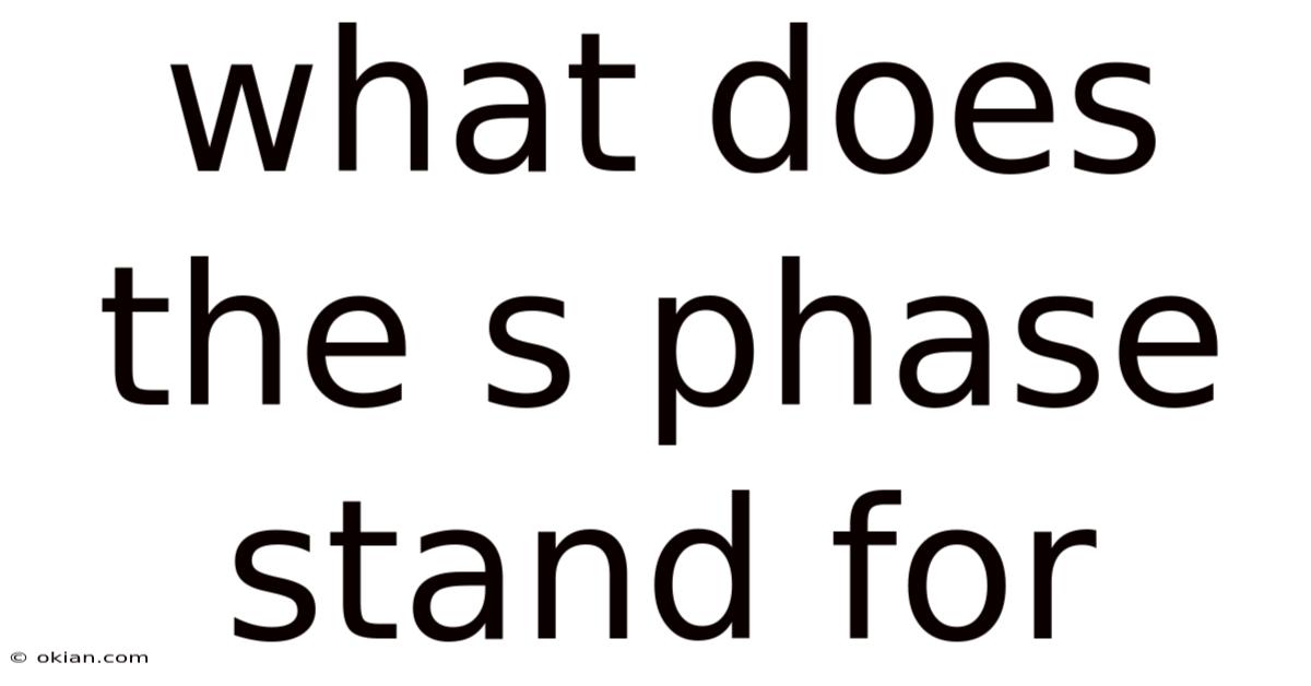 What Does The S Phase Stand For