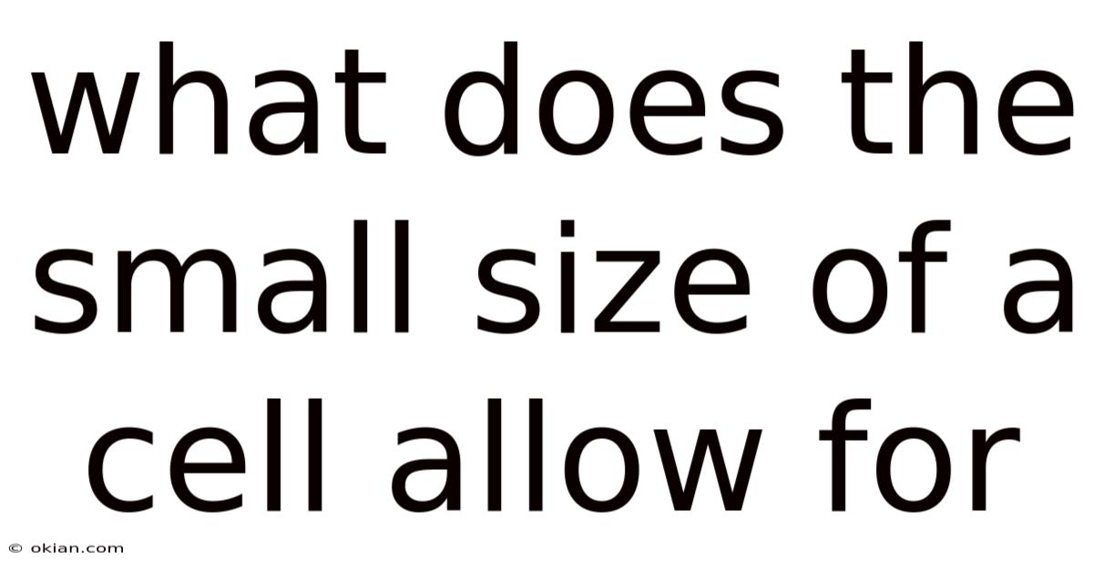 What Does The Small Size Of A Cell Allow For