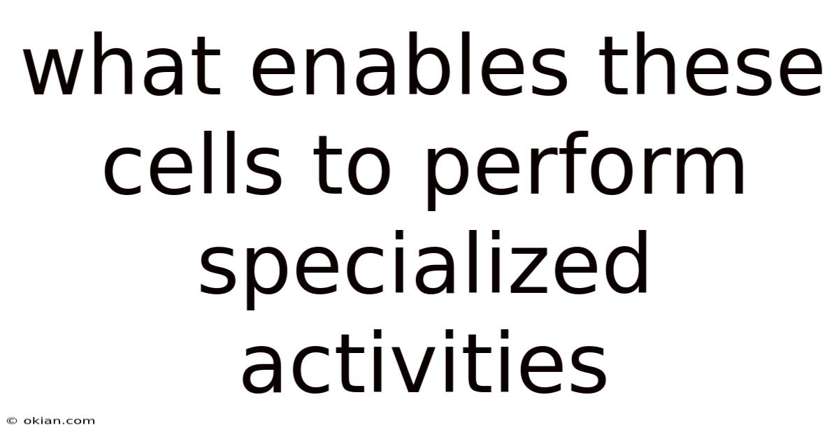What Enables These Cells To Perform Specialized Activities