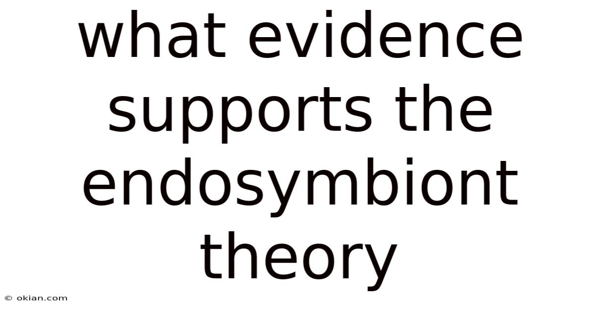 What Evidence Supports The Endosymbiont Theory