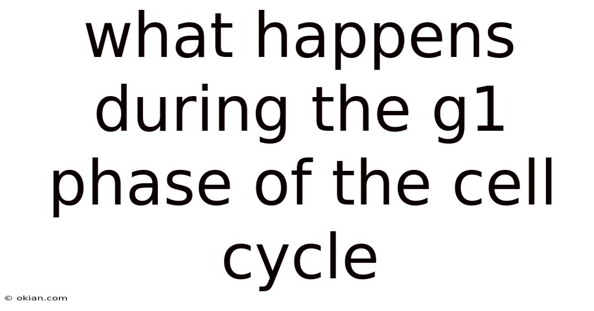 What Happens During The G1 Phase Of The Cell Cycle