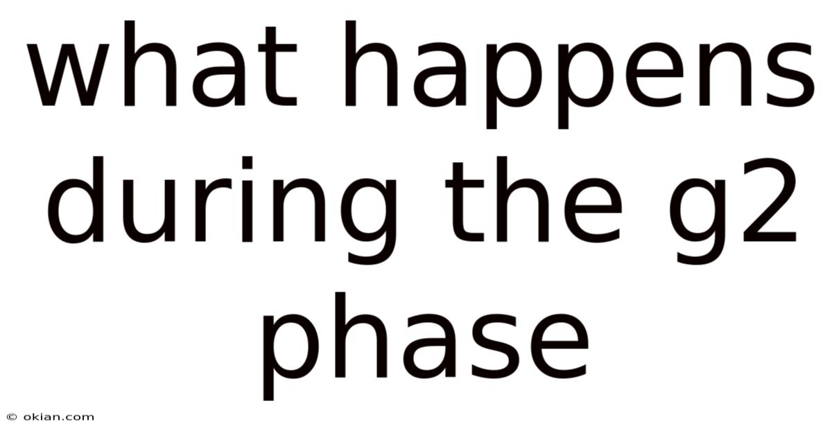 What Happens During The G2 Phase