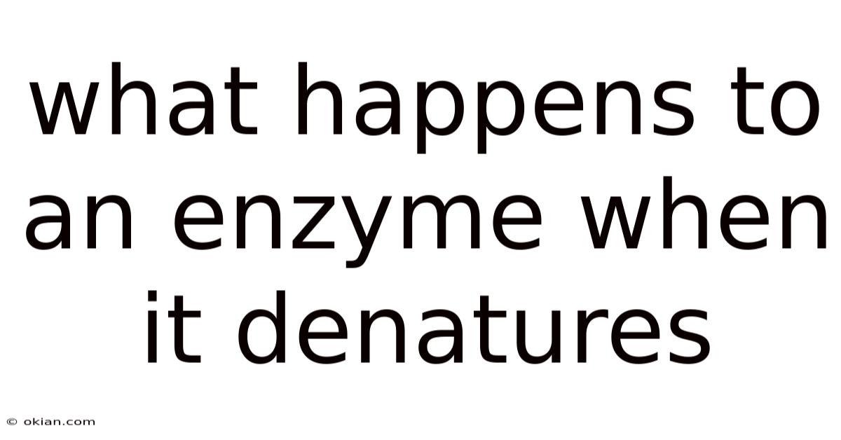 What Happens To An Enzyme When It Denatures