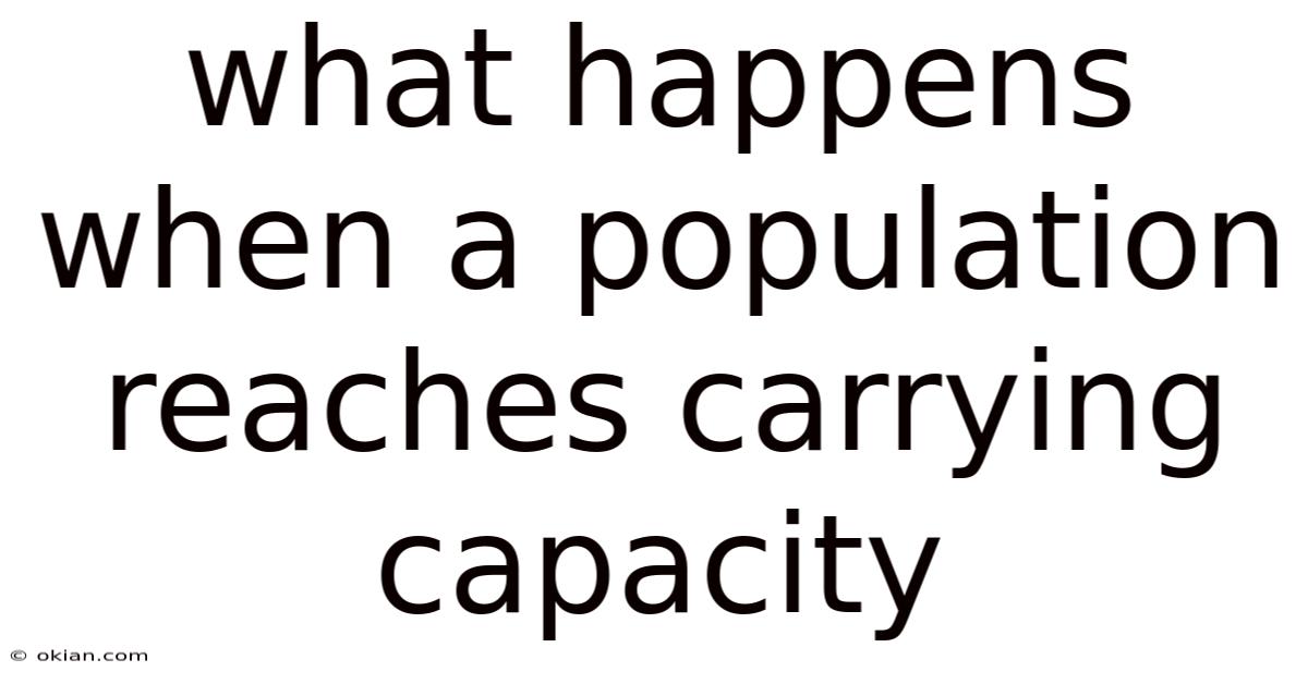 What Happens When A Population Reaches Carrying Capacity