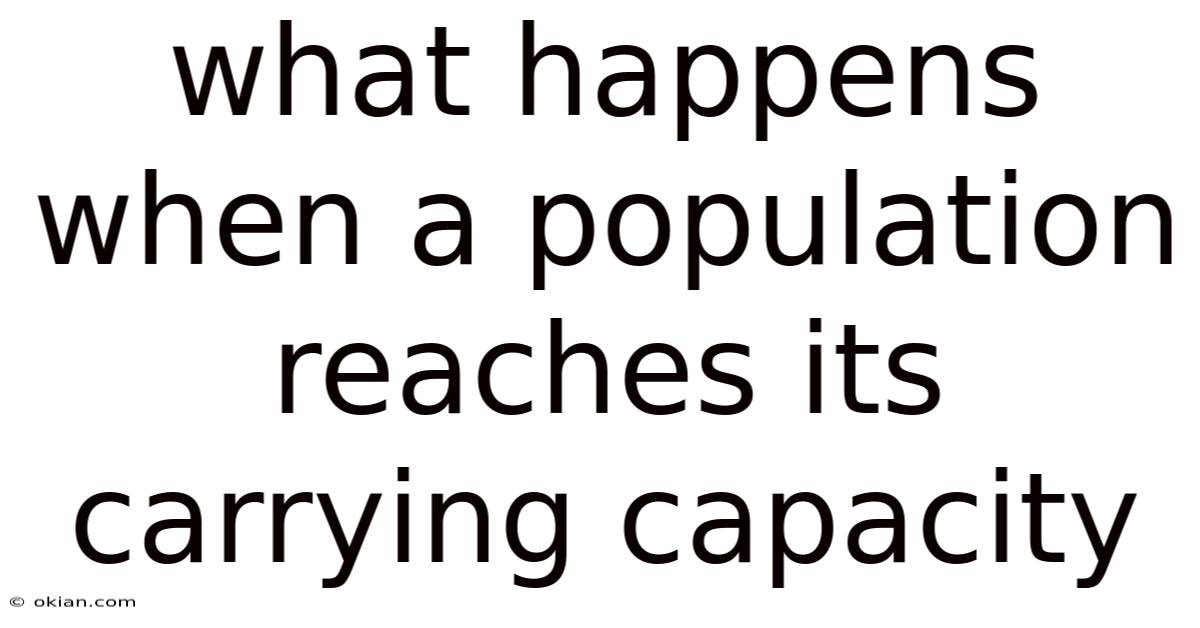What Happens When A Population Reaches Its Carrying Capacity