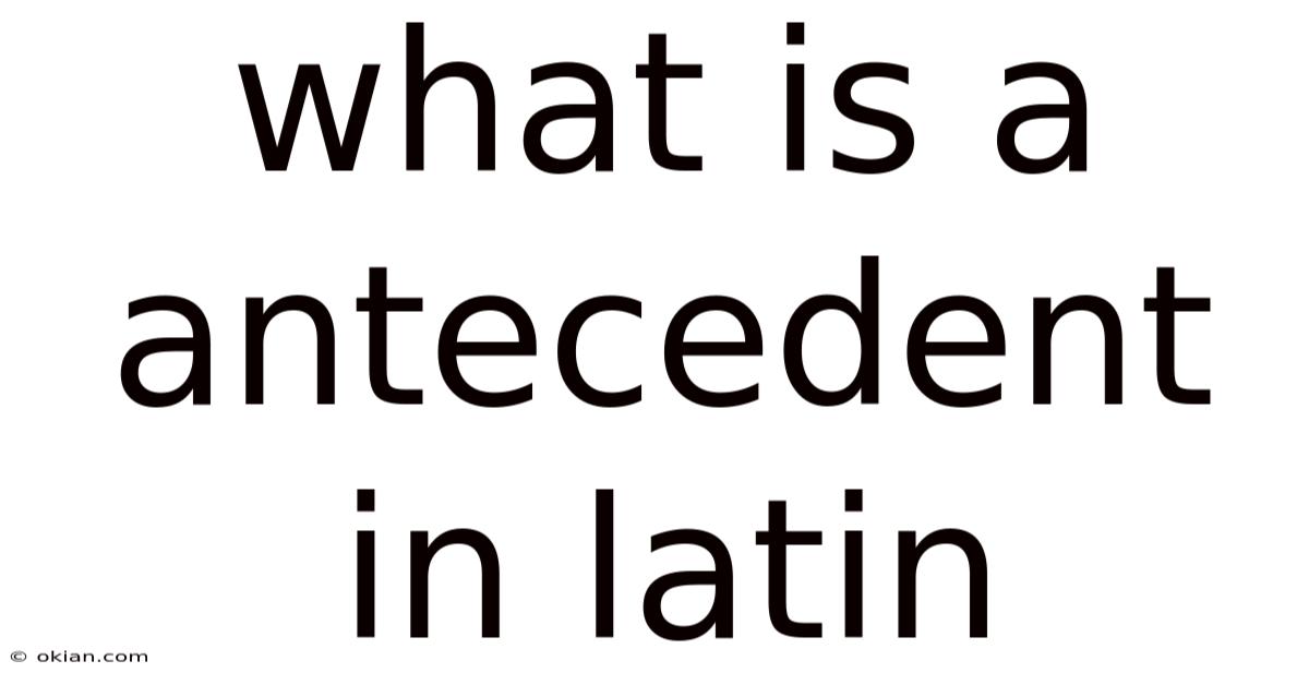 What Is A Antecedent In Latin