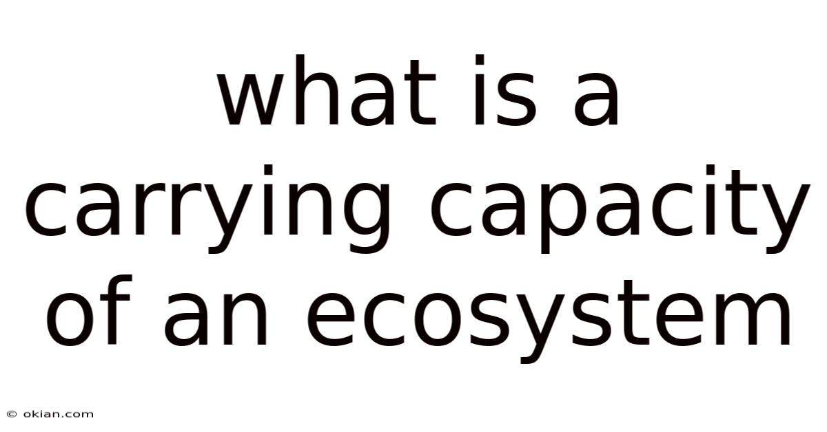 What Is A Carrying Capacity Of An Ecosystem