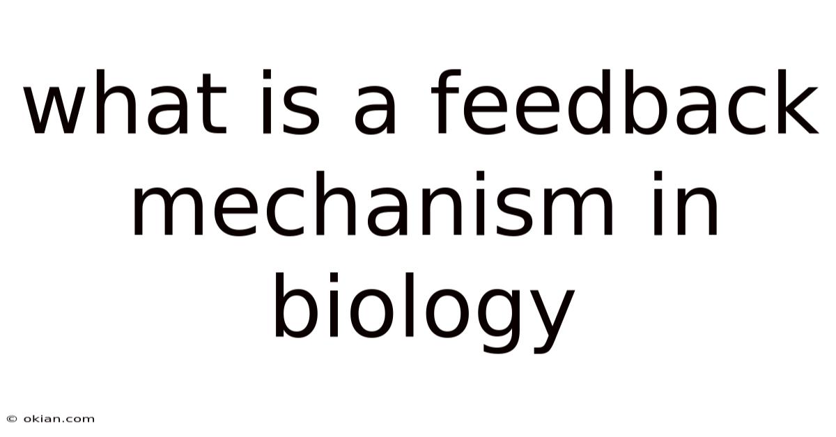 What Is A Feedback Mechanism In Biology