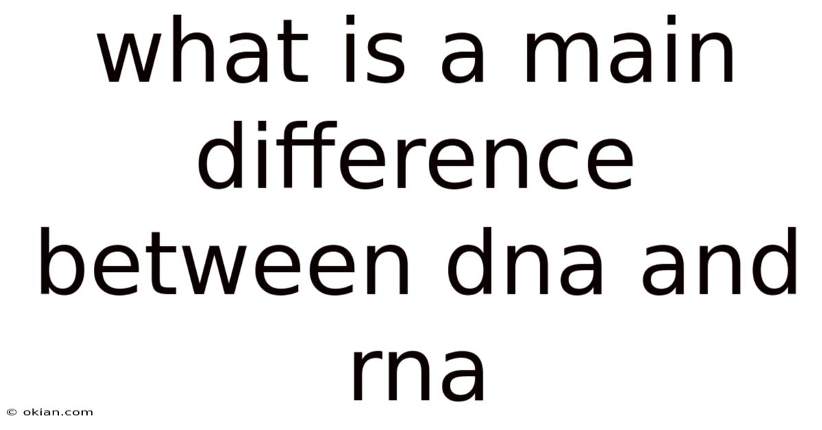 What Is A Main Difference Between Dna And Rna