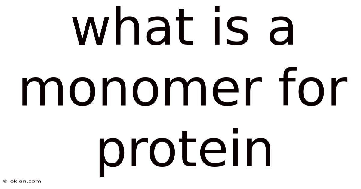 What Is A Monomer For Protein