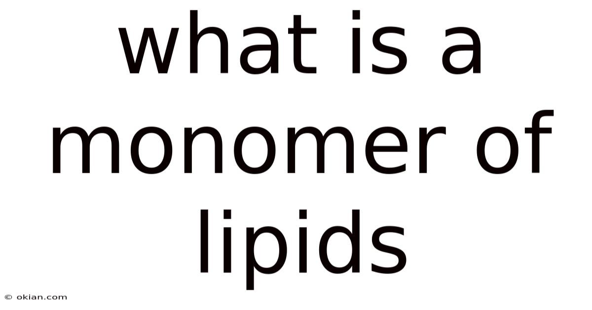 What Is A Monomer Of Lipids