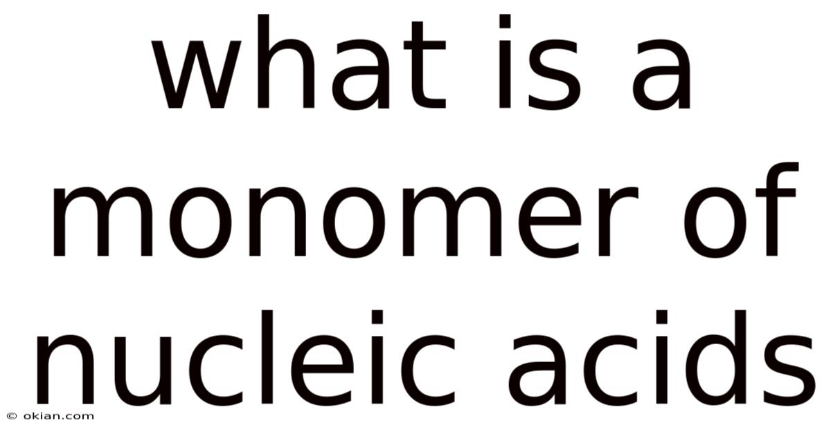 What Is A Monomer Of Nucleic Acids