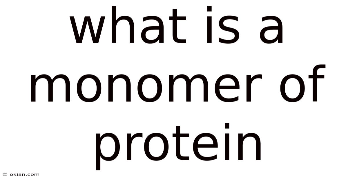 What Is A Monomer Of Protein