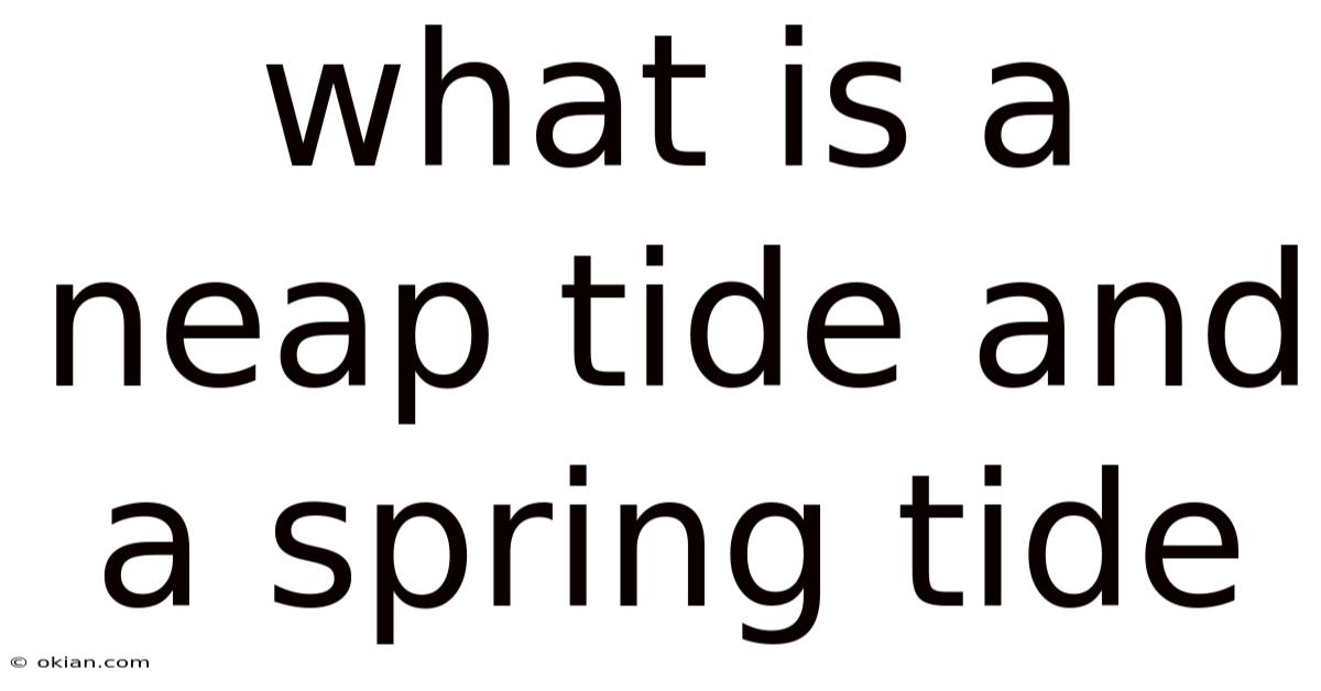 What Is A Neap Tide And A Spring Tide