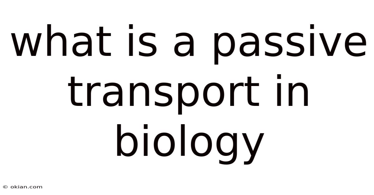 What Is A Passive Transport In Biology