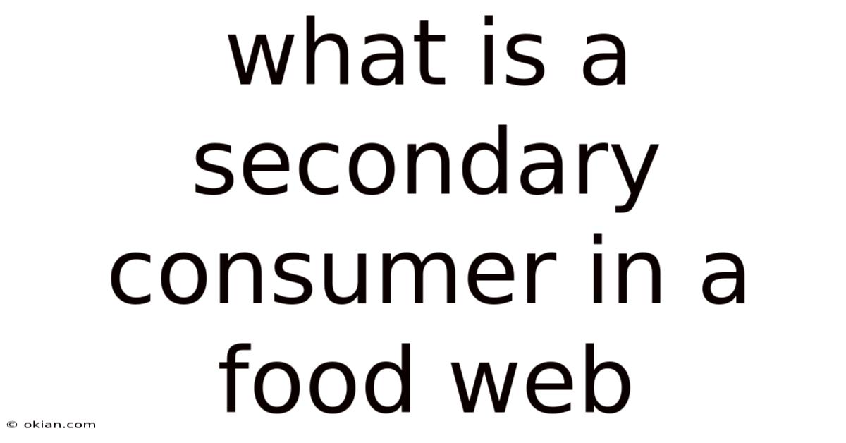 What Is A Secondary Consumer In A Food Web
