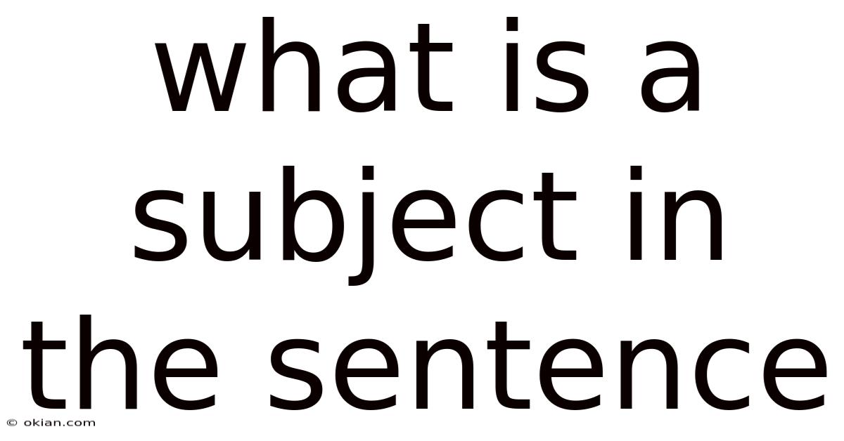 What Is A Subject In The Sentence