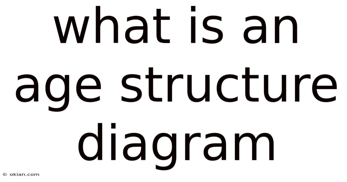 What Is An Age Structure Diagram