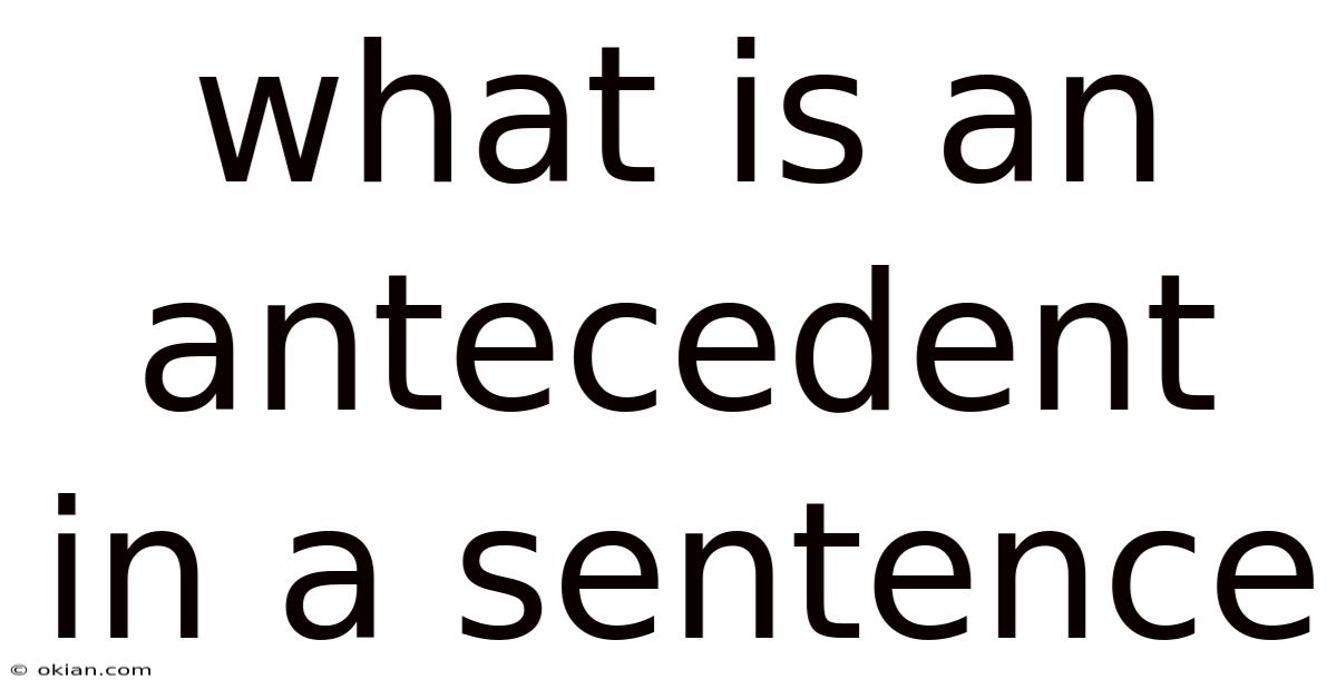 What Is An Antecedent In A Sentence