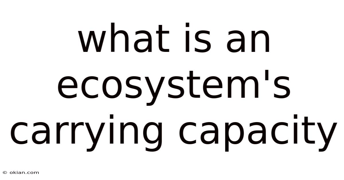 What Is An Ecosystem's Carrying Capacity