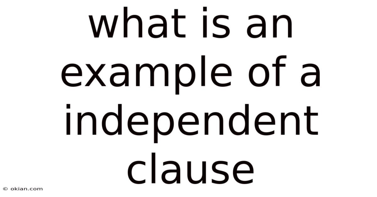 What Is An Example Of A Independent Clause