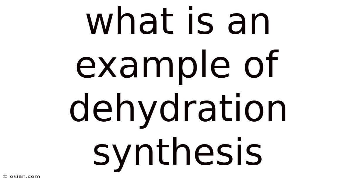 What Is An Example Of Dehydration Synthesis
