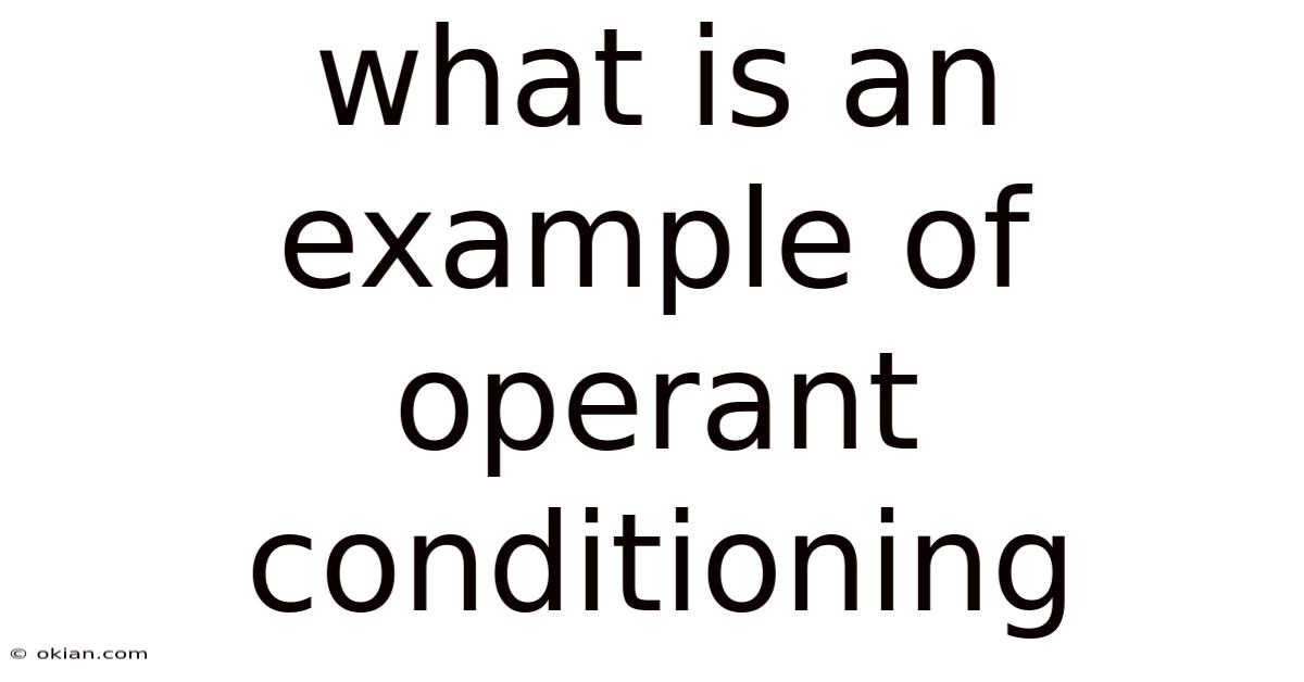 What Is An Example Of Operant Conditioning