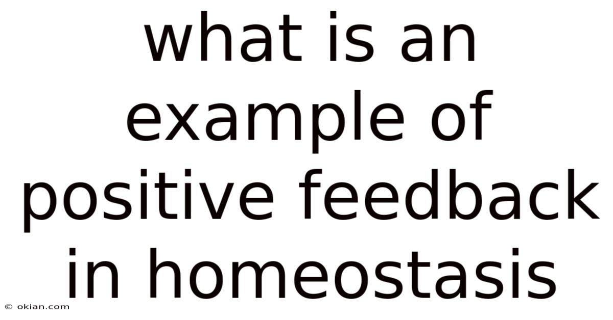 What Is An Example Of Positive Feedback In Homeostasis