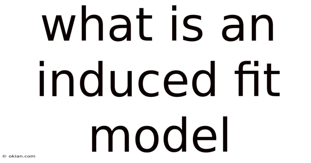 What Is An Induced Fit Model