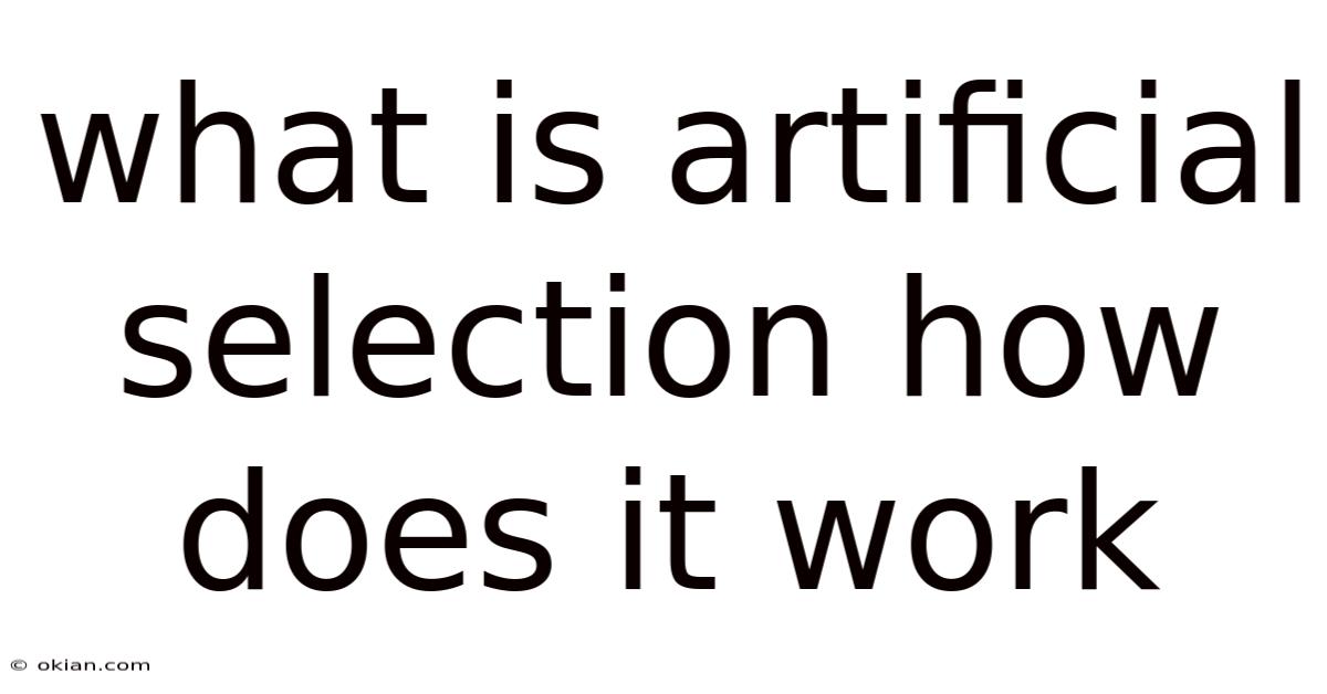 What Is Artificial Selection How Does It Work