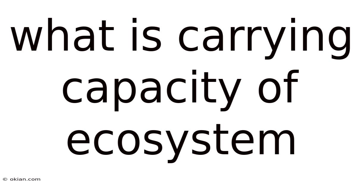 What Is Carrying Capacity Of Ecosystem