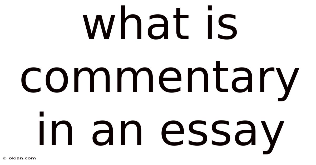 What Is Commentary In An Essay