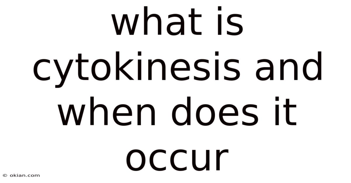 What Is Cytokinesis And When Does It Occur